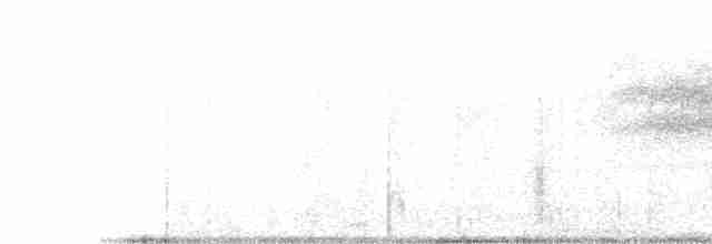 Щеврик короткодзьобий - ML574787381