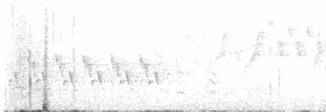 Поплітник каролінський - ML574792561