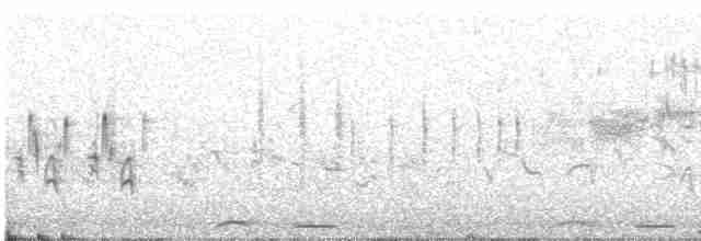 Common Cuckoo - ML574795191