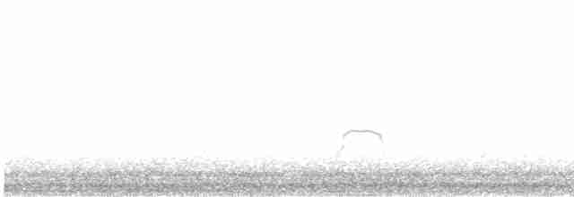 Eurasian Oystercatcher - ML574796251
