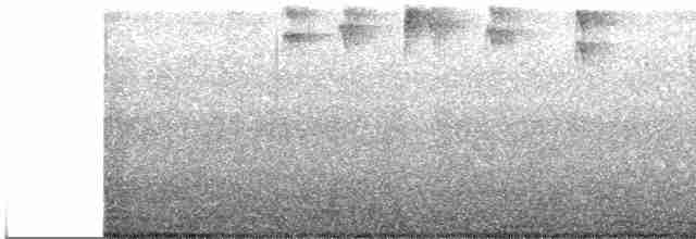 holub antilský - ML574815011
