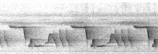 svartkronesmett (castaneus gr.) - ML57484