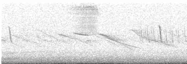 Curve-billed Tinamou - ML574842081