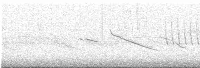 Tinamou curvirostre - ML574842161