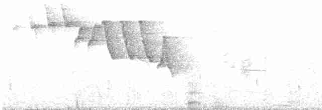 Мангровая древесница - ML574852321