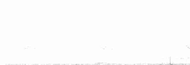 Paruline à gorge grise - ML574881311