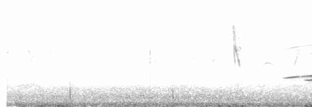 Striped Cuckoo - ML574883011