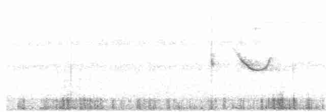 Spot-tailed Nightjar - ML57489381