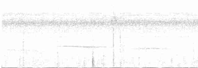 Tropfenmantel-Ameisenvogel - ML574915741