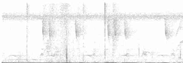 Braunscheitel-Ameisenvogel - ML574918121