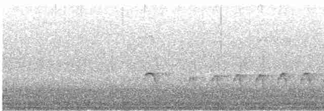 Gelbbrust-Ameisenschnäpper - ML574923161
