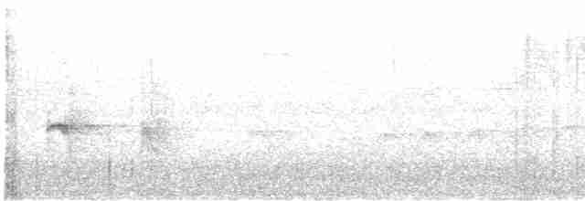 Gelbbrust-Ameisenschnäpper - ML574931801