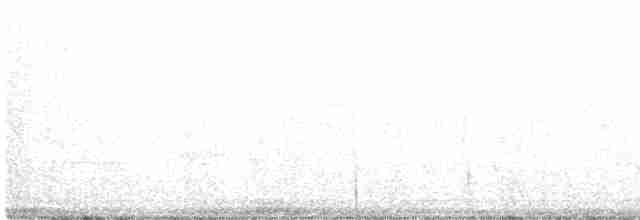 Sturnella meadowlark sp. - ML574962091
