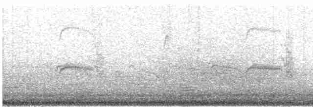 Aleutian Tern - ML574964731