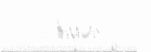 Kara Kulaklı Kuyrukkakan - ML574994131