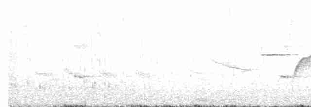 Siyah Gıdılı Serçe - ML575003541