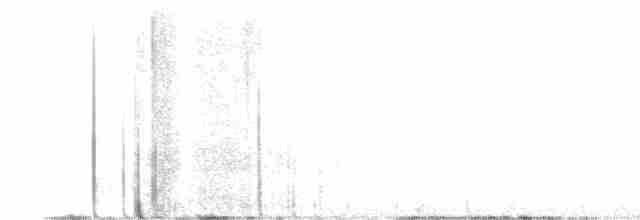 Kirtland's Warbler - ML575005361