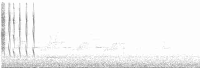Kara Boğazlı Kolibri - ML575006701