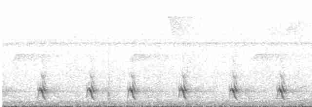 White-tailed Trogon - ML575045861