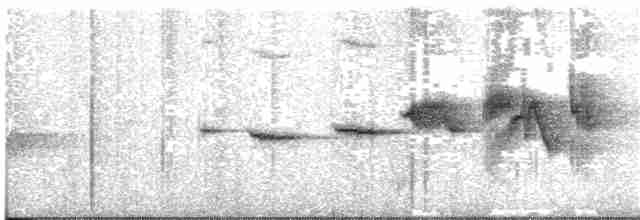 Горихвістка короткокрила - ML57506811