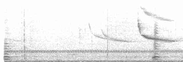 Cisne Trompetero - ML575088741
