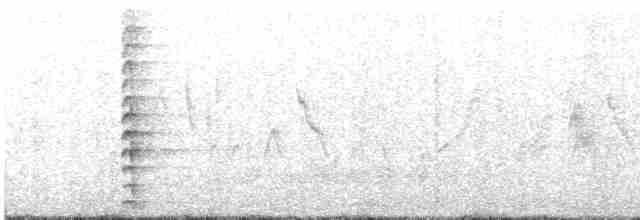 Gallinule d'Amérique - ML575107991