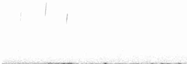 Gray-hooded Sierra Finch (gayi/caniceps) - ML575112951