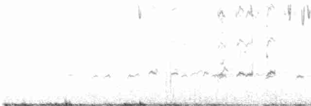 Патагонский зерноед - ML575119031