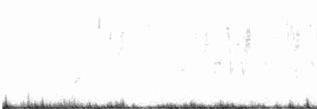 Патагонский зерноед - ML575119041