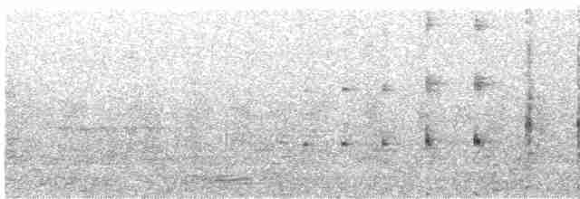 Common Gallinule - ML575127041