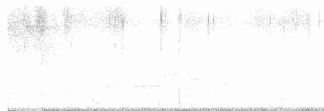 Cerulean Warbler - ML575127311