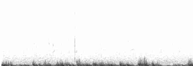 Pluvianelle magellanique - ML575128041