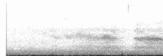 White-faced Heron - ML575192371