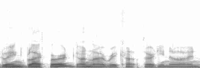 Al Kanatlı Karatavuk [phoeniceus grubu] - ML57520