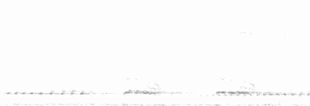 White-cheeked Barbet - ML575206431