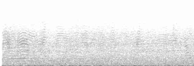 יסעור גדול (אטלנטי) - ML575216411