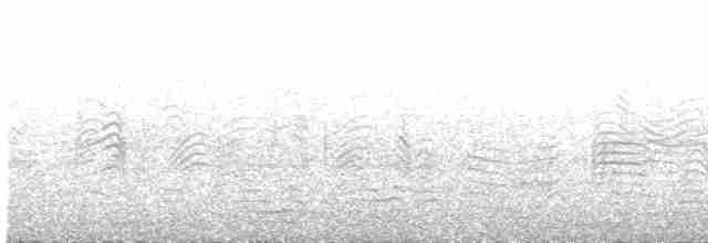 Средиземноморский буревестник (borealis) - ML575218641
