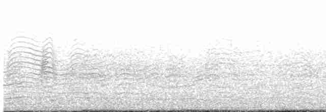 Sepiasturmtaucher (borealis) - ML575218721