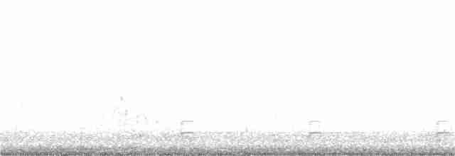 Silbermöwe (Kanadamöwe) - ML57524311