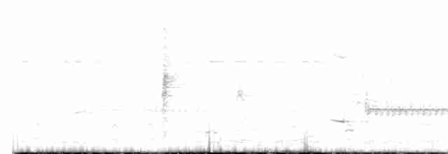 Marsh Wren (palustris Group) - ML575262991