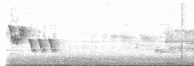Mourning Warbler - ML575302311