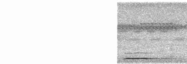 Рюкюйская сплюшка - ML575314041