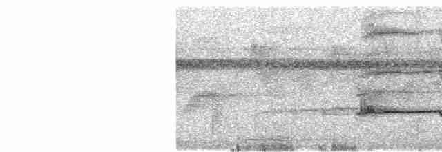 Kestane Kulaklı Arapbülbülü - ML575314241
