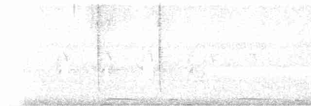 Kırlangıç Kuyruklu Kolibri - ML575321301