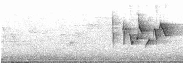 Canada Warbler - ML575330151