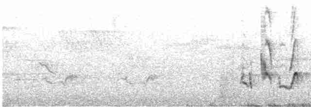 Gray Catbird - ML575352191