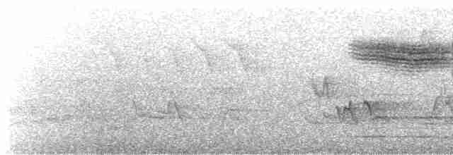Голубокрылая червеедка - ML575407201