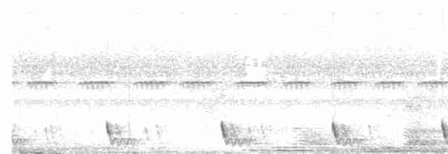 Large-tailed Nightjar - ML575429901