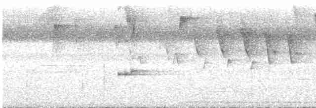 Серогрудый крапивник - ML575438491