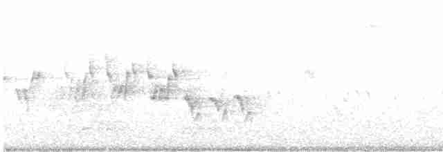 Черногорлая хвойница - ML575450791